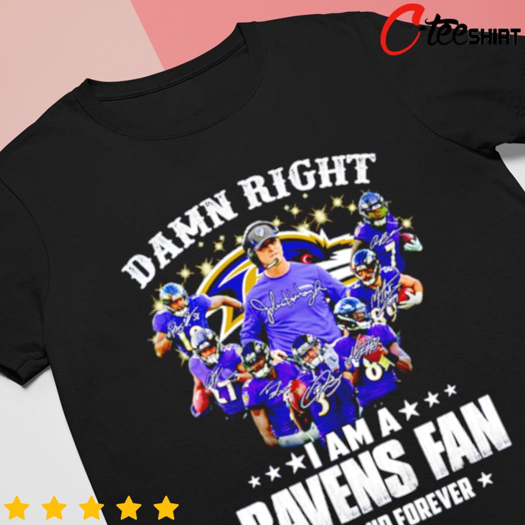 I'm baltimore ravens fan shirt, hoodie, sweater, long sleeve and