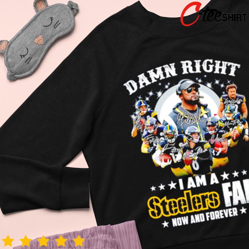 Pittsburgh Steelers T Shirt For Fan 